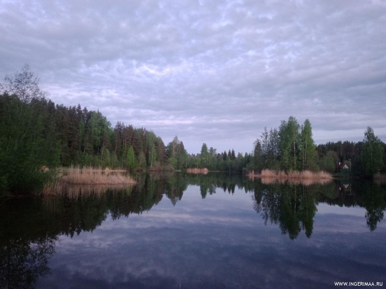 Карьеры Шапки (Тосненский район ЛО)